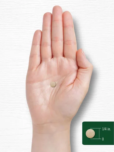 Vista 7 de Carlyle - Suplemento de yodo de alga marina 225 mcg 300 tabletas Sin GMO, sin gluten Suplemento de hierbas tradicionales