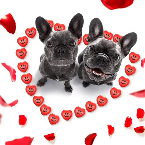 Vista 5 de Yaomiao 48 bolas de estrés con forma de corazón a granel, mini bolas de espuma con forma de corazón, alivio del estrés, juguetes para compañeros