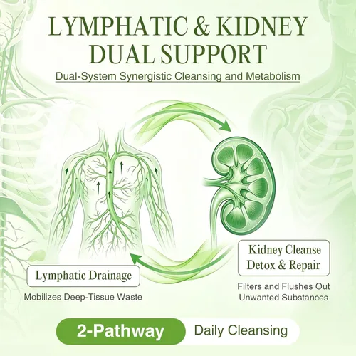 Vista 3 de GREENPEOPLE Drenaje linfático y suplementos renales - Cuchillas/Equinácea/Diente de león para limpieza y desintoxicación Equilibrio de líquidos