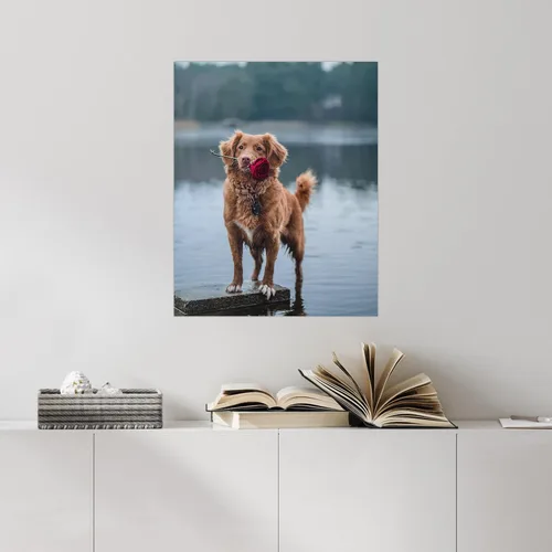 Vista 18 de SIGNFORD Mural de pared personalizado con tus fotos, papel tapiz extraíble, decoración de pared personalizada para dormitorio, sala de estar, 8 x 10