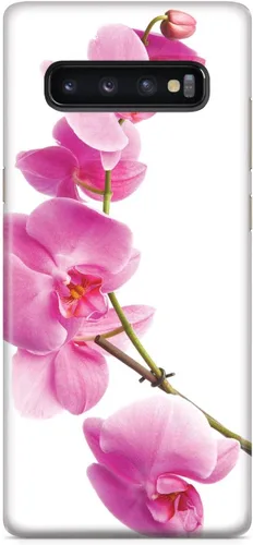 Vista 16 de Inspired Cases - Compatible with iPhone Xs Max Case - 3D Textured Protective Phone Case for Apple iPhone Xs Max - Pink Orchid - White