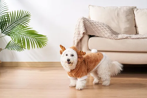 Vista 5 de Disfraz de reno de Navidad para cachorro, disfraz de alce de gato con capucha, abrigo de invierno de Navidad, ropa de Navidad (XL)