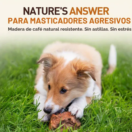 Vista 3 de Wildfang Raíz masticable de madera de brezo, pequeño, sin astillas, juguetes masticables para perros masticadores agresivos, juguetes naturales