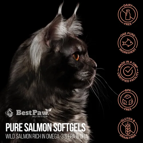 Vista 10 de Best Paw Nutrition Aceite de salmón puro de Alaska salvaje para perros y gatos, alergias, picazón seca en la piel, puntos calientes y alivio