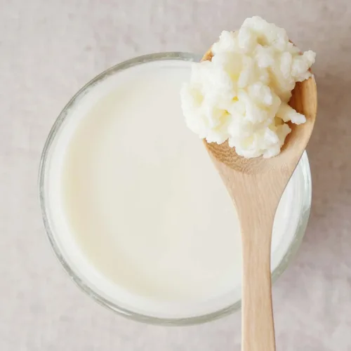 Vista 4 de Cultures for Health Granos de Kéfir de Leche Bebida Probiótica Láctea Espumosa Casera Sin OMG para una Salud Intestinal Más Fuerte Iniciador
