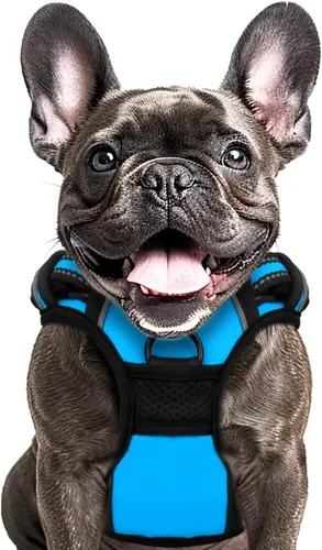 Vista 11 de Buddy's Best Arnés para perro, arnés sin tirones para mascotas, con 2 clips para correa, arnés ajustable suave acolchado reflectante de seguridad