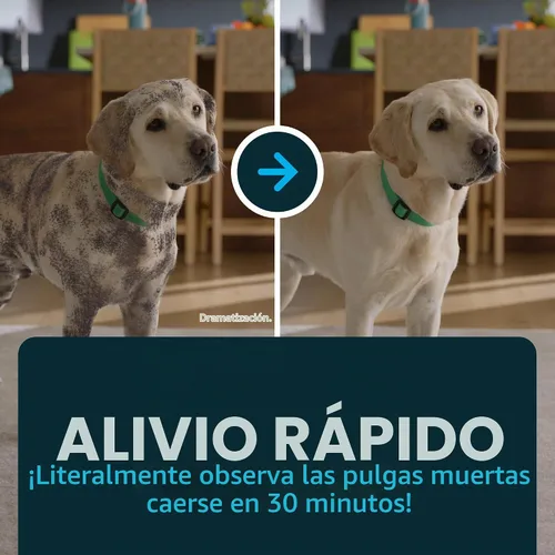 Vista 6 de Capstar (Nitenpyram) Tratamiento oral de pulgas de acción rápida para perros de 2 a 25 libras, tabletas de medicamentos recomendadas por