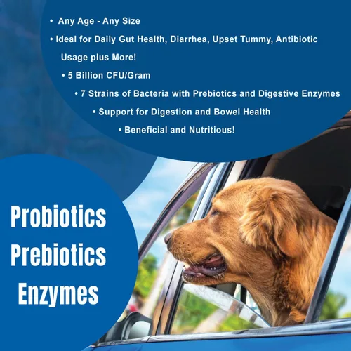 Vista 4 de DOGZYMES Potenciador digestivo en polvo soluble para perros (8 onzas)