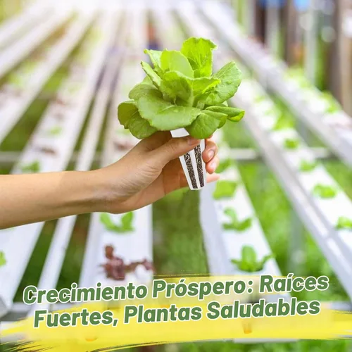 Vista 6 de Cestas de cultivo Alphatool compatibles con AeroGarden