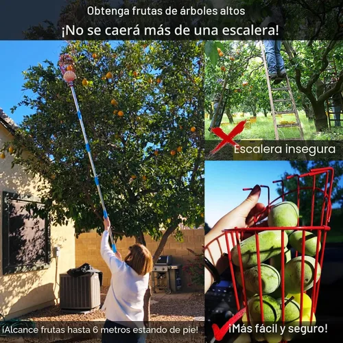 Vista 5 de DonSail Herramienta de caña para recoger frutas con cesta de mango largo, 35-65 pulgadas ajustable de manzana naranja con cesta para recogedor
