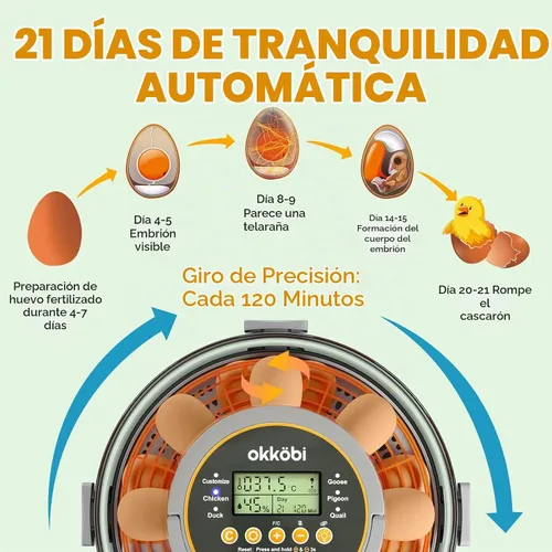 Vista 2 de Incubadora de huevos de capacidad 12-20 con torneado automático y vela
