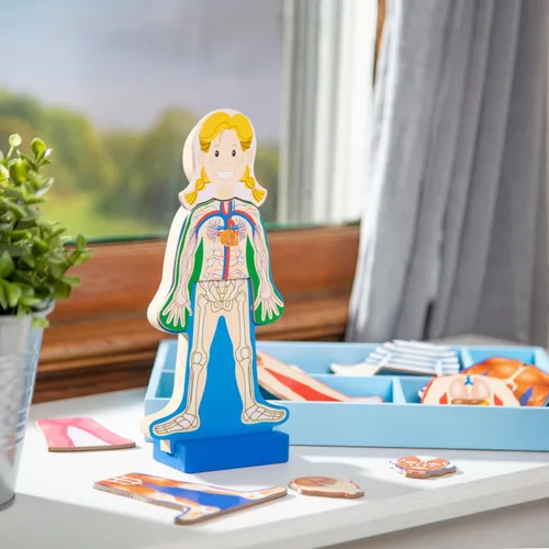 Vista 9 de Set de juego magnético de anatomía del cuerpo humano, con 24 piezas y bandeja de almacenamiento, de la marca Melissa & Doug