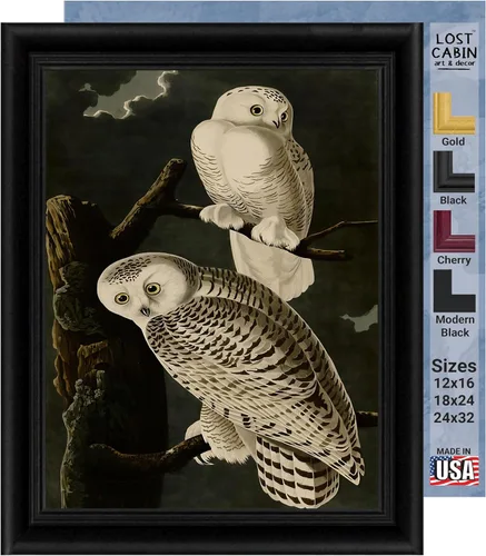 Vista 12 de Lost Cabin American Flamingo por James Audubon Impresión en marco biselado negro Reproducción de pintura de obras de arte finas Póster