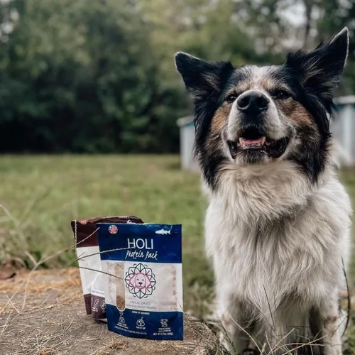 Vista 4 de HOLI Elk & Venison - Golosinas liofilizadas para perros, totalmente naturales y capturadas en la naturaleza, fortificadas con vitaminas y minerales