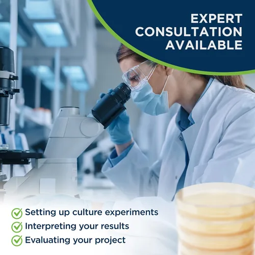 Vista 7 de Evviva Sciences - Platos de petri de agar dextrosa de patata prevertida (PDA), para hongos, kit de prueba casera o para proyectos de ferias