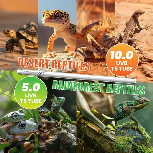 Vista 8 de GlowUp Bombilla UVB T5 HO 5.0 de 22 pulgadas, 24 W, para reptiles