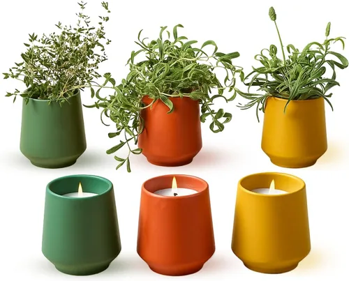 Vista 13 de Modern Sprout Rooted Candle - Vela perfumada de madera de cedro 2 en 1 y soja con semillas que crece en planta de lavanda, 6 onzas con 42 horas