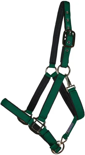 Vista 15 de Dura-Tech Cabestro de caballo de nailon totalmente acolchado Cabestro para caballo diseñado para evitar rozaduras Corona y bordillo de caballo