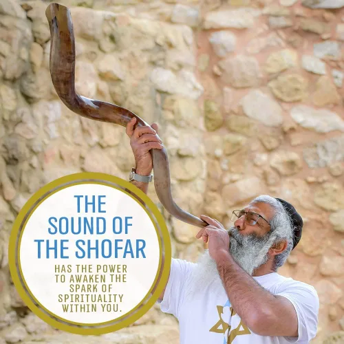 Vista 4 de Cuerno Shofar Kudu Kosher de Israel de 20"-24" – Instrumento Musical Judío Antiguo Kudu Shofar Tradicional Medio Pulido Holy Voice de Fácil Soplado