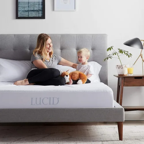 Vista 6 de Lucid Protector