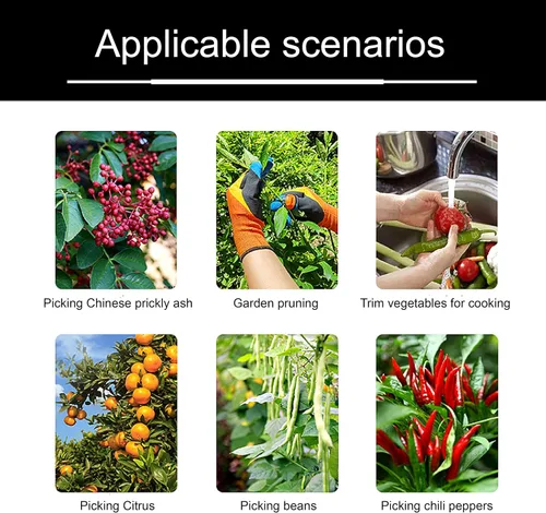 Vista 5 de Guantes de jardinería Guantes de recolección Anti Espina Antideslizante Cuchillos Pulgar Cosecha Poda Jardín Frutas Verduras