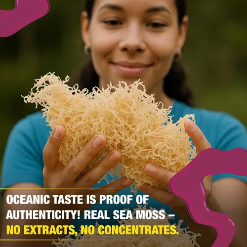 Vista 5 de Biolore Gel de Musgo Marino – Saúco, Hecho en EE.UU., Sin Azúcar Añadido, Rico en Vitaminas y Minerales, Superalimento Vegano, Mermelada y Untable