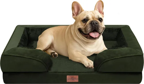 Vista 80 de Comfort Expression - Cama ortopédica para perros medianos, 28 x 19 pulgadas, cama impermeable y de apoyo de espuma con cojines removibles, sofá