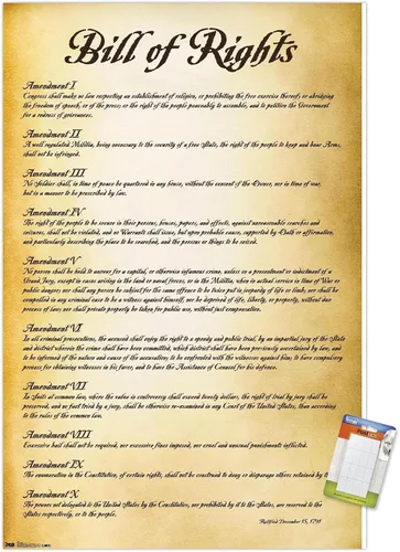 Vista 12 de Trends International The United States of America - Póster de pared de Carta de Derechos, 14.725 x 22.375 pulgadas, versión enmarcada de madera