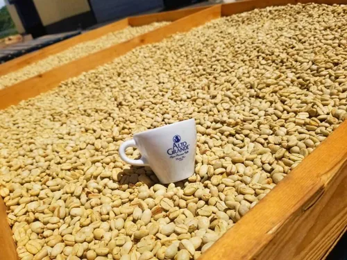 Vista 7 de Alto Grande Caracolillo Cápsulas de café, 100% arábica de Puerto Rico, 18 unidades, intensidad 8, cápsulas de espresso de una sola porción