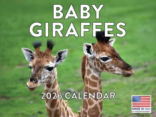 Vista 137 de Calendario mensual de pared de alpaca 2025 Fabricado en Estados Unidos