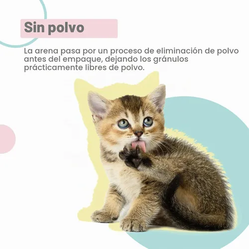 Vista 3 de Recambios genéricos de pellets de arena para gatos, 9 libras, exclusivamente para sistemas de caja de arena de doble capa, deshidratación, control