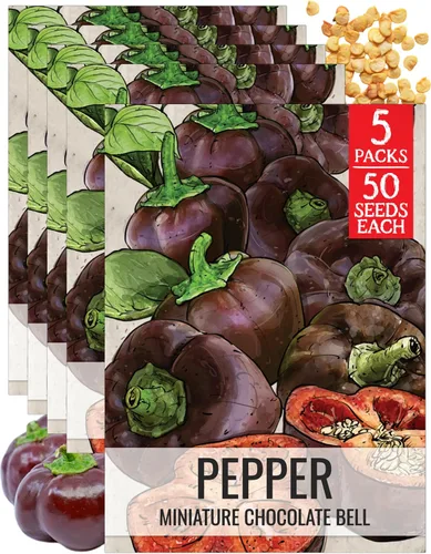 Vista 76 de Seed Needs - Semillas de pimiento arcoíris para plantar verduras, 1 paquete