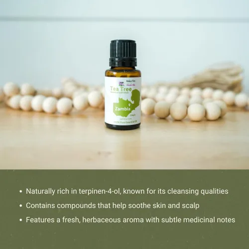 Vista 6 de Aceite esencial de árbol de té, directo de Arulussa Farm Zambia, destilado al vapor, aceite esencial de árbol de té para aromaterapia, masaje