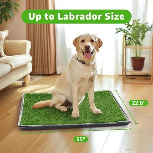 Vista 3 de Parche grande de hierba para perros, cajas de arena para perros, césped artificial para entrenamiento de mascotas, almohadilla lavable para orina