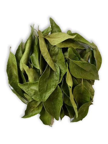 Vista 2 de Hojas de curry secas 0.4 Oz (11.34g) hojas enteras premium de aroma fresco Sabor aromático y distintivo con toda la frescura de Kari Patta, sin