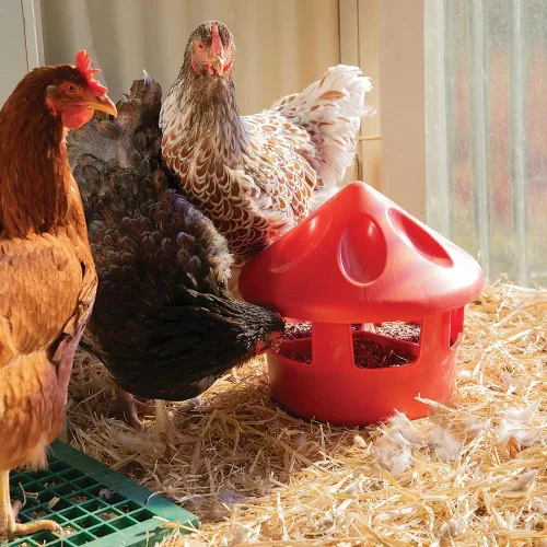 Vista 2 de Premier 1 - Comedero para grano de aves y concha de ostras, 6 libras.