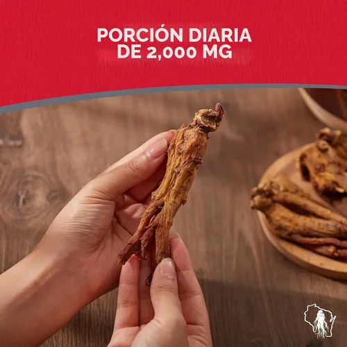 Vista 4 de Dairyland Cápsulas de ginseng rojo coreano Panax - 2000 mg de extracto concentrado de raíz de ginseng molido potente, sin rellenos, aglutinantes u