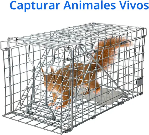 Vista 3 de Gingbau Trampa de ardillas plegable resistente para animales vivos (no para ratón)