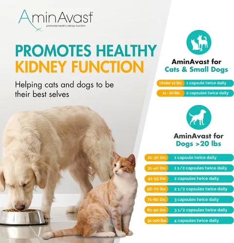 Vista 9 de AminAvast Suplemento de riñón para perros - Apoya la función renal natural - Promueve la salud y la vitalidad del envejecimiento de los riñones