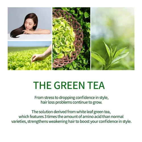 Vista 4 de AMOS PROFESSIONAL Champú The Green Tea [Fresco - Para cuero cabelludo graso] 17.6oz (500g) Champú antiadelgazamiento y anticaída de cabello