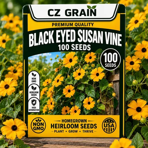 Vista 16 de CZ Grain Semillas para plantar, 40 pequeñas mezclas de calabaza