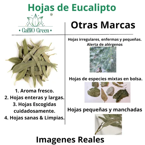 Vista 3 de Hojas enteras de eucalipto, calidad premium, hojas enteras de eucalipto (más de 500 hojas) 1 libra de té suelto de hierbas, té de eucalipto de hoja
