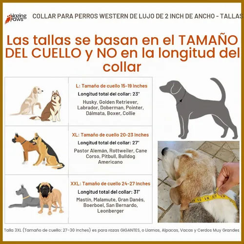 Vista 4 de Blazing Paws Darlington - Collar de perro de cuero de lujo de 2 pulgadas de ancho para perros grandes, hecho a mano de gamuza acolchado de cristal