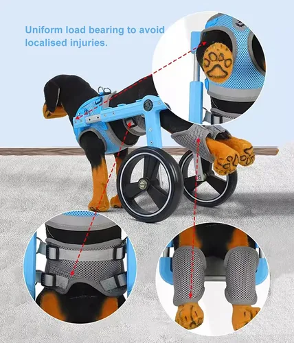Vista 5 de Silla de ruedas para perro de 2 ruedas para pata trasera, carrito de ayuda para caminar para perros pequeños, medianos y grandes, ajustable