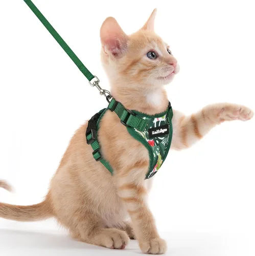 Vista 41 de rabbitgoo Cat Harness and Leash Set, Escape Proof Vest, XXS, Berry Pounce Soft Breathable Mesh, No-choke Adjustable Fit, Snap Buckles, Sturdy