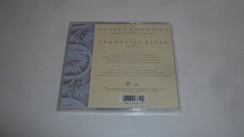 Vista 2 de Angels Among Us