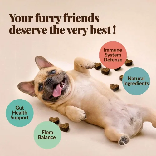 Vista 5 de Get Naked Biteables - Golosinas suaves diarias para perros para la salud digestiva, hechas con harina de pollo real y arroz para una fácil