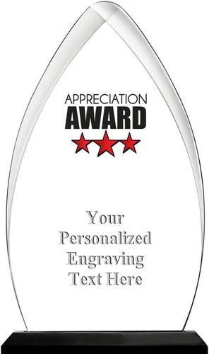 Vista 5 de Crown Awards Premio acrílico personalizado de 9.25 pulgadas de Gateway Skyline