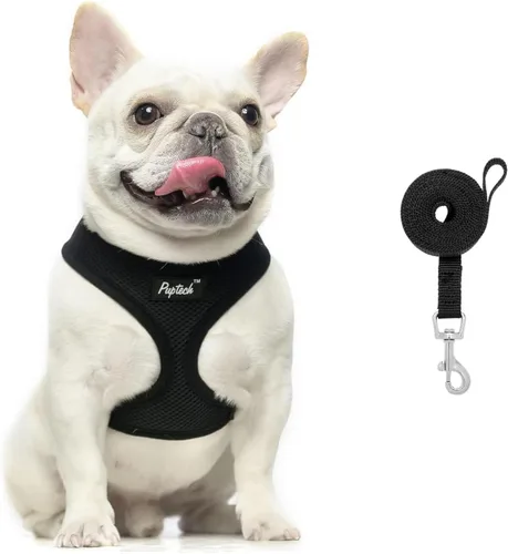 Vista 54 de PUPTECK Juego de arnés y correa de malla suave para perro, cachorro y gato, cómodo chaleco acolchado sin tirones, azul Pascua, S