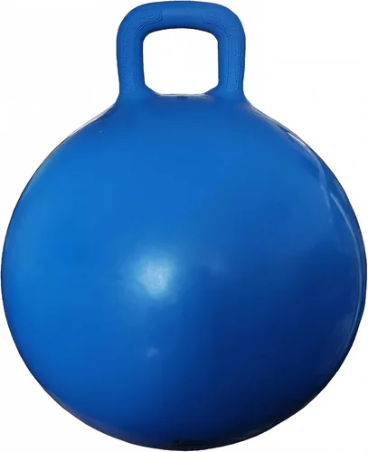 Vista 4 de AppleRound Pelota saltarina Hopper con bomba de aire, 18 pulgadas/45 cm de diámetro para niños de 3 a 7 años, canguro rebotador, pelota Hippity
